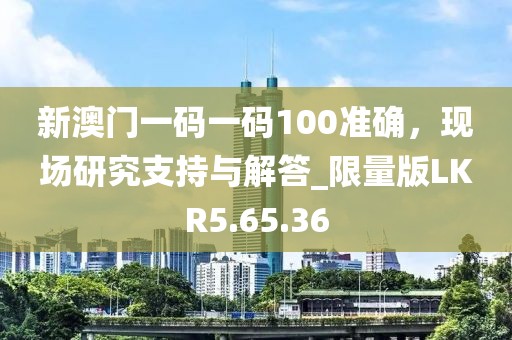 新澳门一码一码100准确，现场研究支持与解答_限量版LKR5.65.36