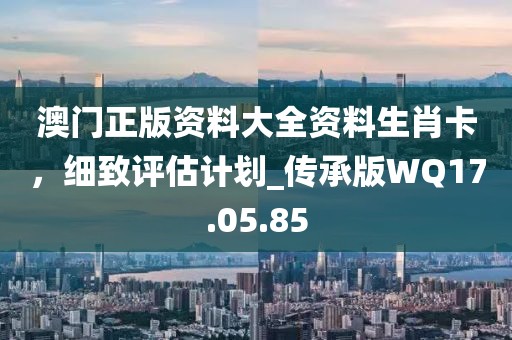 澳门正版资料大全资料生肖卡，细致评估计划_传承版WQ17.05.85