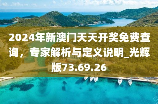 2024年新澳门天天开奖免费查询，专家解析与定义说明_光辉版73.69.26