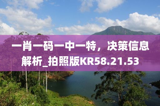一肖一码一中一特，决策信息解析_拍照版KR58.21.53