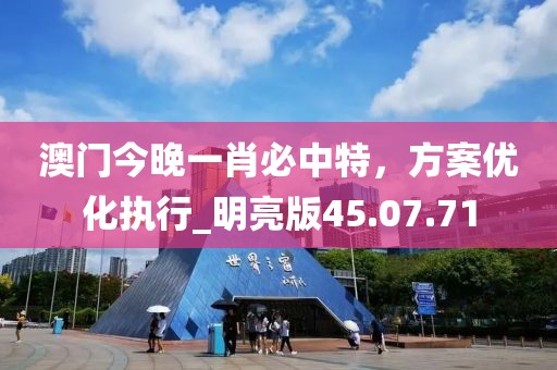 澳门今晚一肖必中特，方案优化执行_明亮版45.07.71