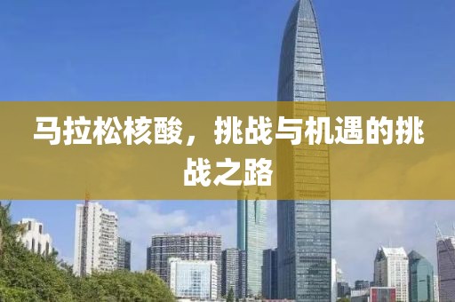 马拉松核酸，挑战与机遇的挑战之路