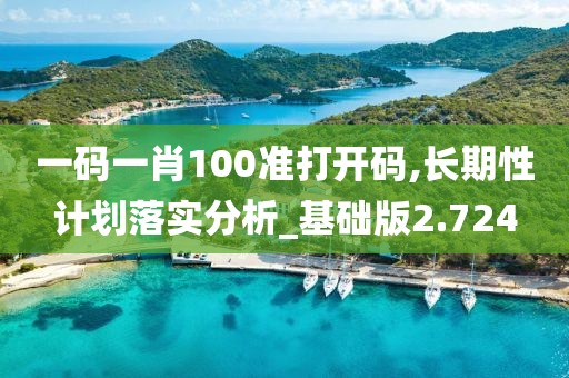 一码一肖100准打开码,长期性计划落实分析_基础版2.724