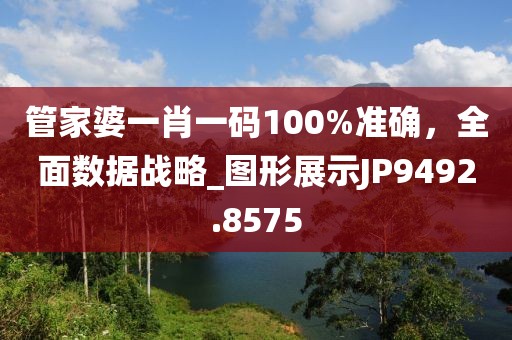 管家婆一肖一码100%准确，全面数据战略_图形展示JP9492.8575