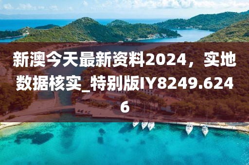 新澳今天最新资料2024，实地数据核实_特别版IY8249.6246