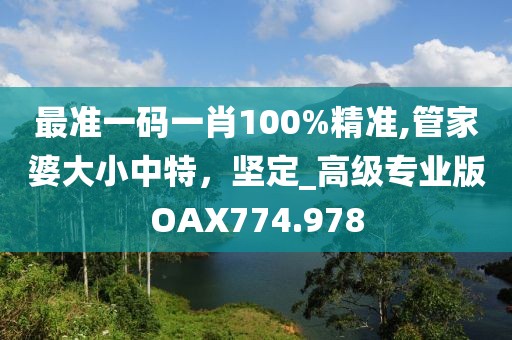 最准一码一肖100%精准,管家婆大小中特，坚定_高级专业版OAX774.978