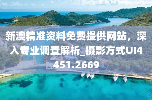 新澳精准资料免费提供网站，深入专业调查解析_摄影方式UI4451.2669