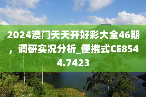 2024澳门天天开好彩大全46期，调研实况分析_便携式CE8544.7423