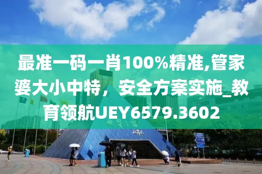 最准一码一肖100%精准,管家婆大小中特，安全方案实施_教育领航UEY6579.3602