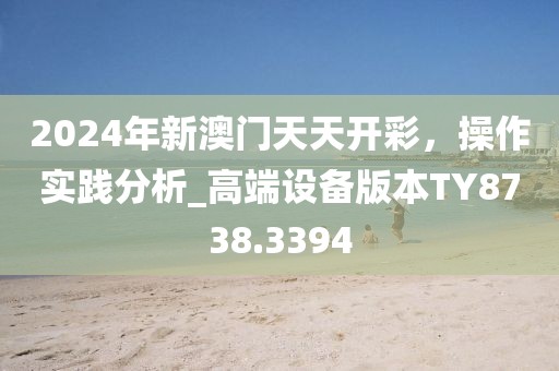 2024年新澳门天天开彩，操作实践分析_高端设备版本TY8738.3394