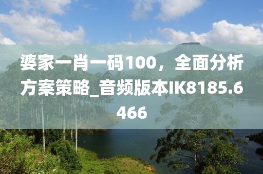 婆家一肖一码100，全面分析方案策略_音频版本IK8185.6466