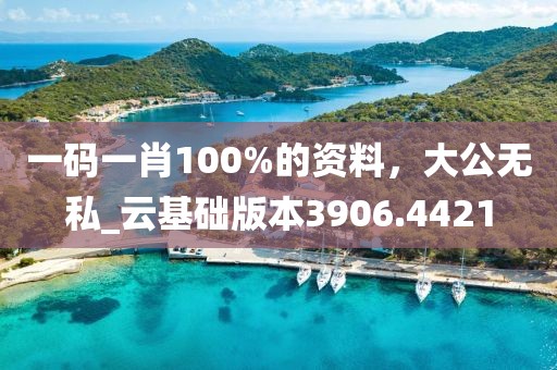 一码一肖100%的资料，大公无私_云基础版本3906.4421