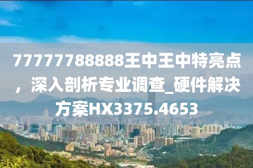 77777788888王中王中特亮点，深入剖析专业调查_硬件解决方案HX3375.4653