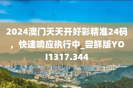 2024澳门天天开好彩精准24码，快速响应执行中_尝鲜版YOI1317.344