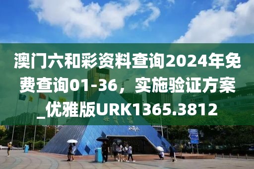 澳门六和彩资料查询2024年免费查询01-36，实施验证方案_优雅版URK1365.3812