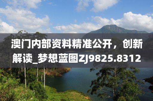 澳门内部资料精准公开，创新解读_梦想蓝图ZJ9825.8312
