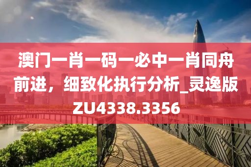 澳门一肖一码一必中一肖同舟前进，细致化执行分析_灵逸版ZU4338.3356