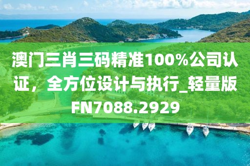 澳门三肖三码精准100%公司认证，全方位设计与执行_轻量版FN7088.2929