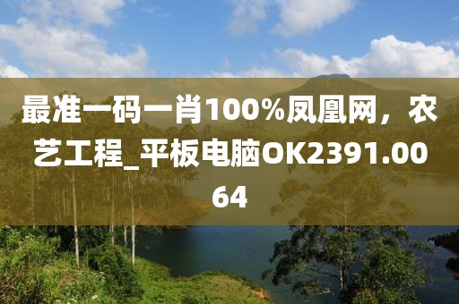 最准一码一肖100%凤凰网，农艺工程_平板电脑OK2391.0064