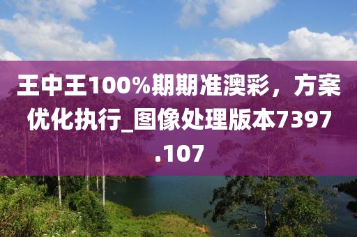 王中王100%期期准澳彩，方案优化执行_图像处理版本7397.107