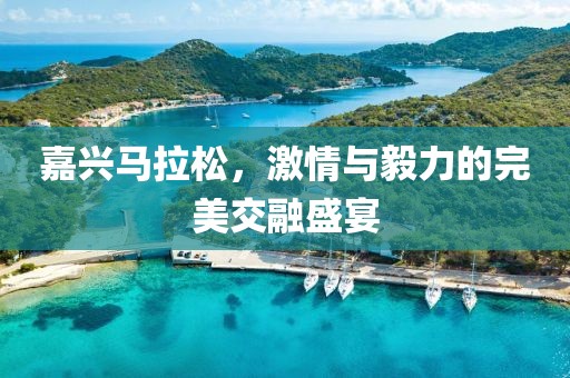嘉兴马拉松，激情与毅力的完美交融盛宴