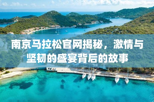 南京马拉松官网揭秘，激情与坚韧的盛宴背后的故事