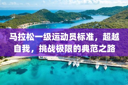马拉松一级运动员标准，超越自我，挑战极限的典范之路