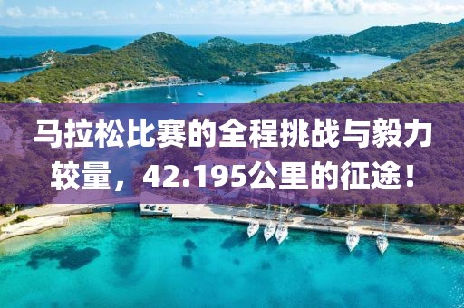 马拉松比赛的全程挑战与毅力较量，42.195公里的征途！
