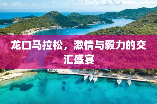 龙口马拉松，激情与毅力的交汇盛宴