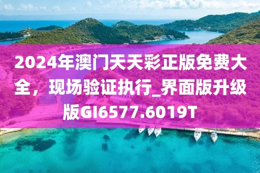 2024年澳门天天彩正版免费大全，现场验证执行_界面版升级版GI6577.6019T