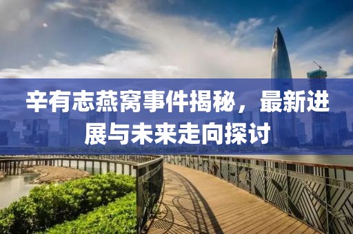 辛有志燕窝事件揭秘，最新进展与未来走向探讨