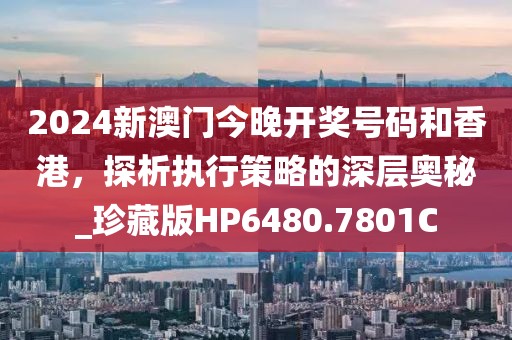 2024新澳门今晚开奖号码和香港，探析执行策略的深层奥秘_珍藏版HP6480.7801C