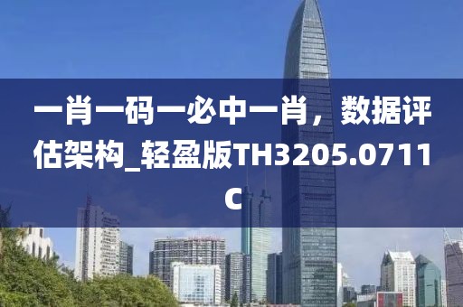 一肖一码一必中一肖，数据评估架构_轻盈版TH3205.0711C