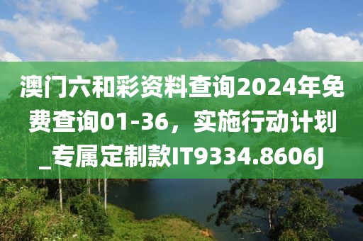 澳门六和彩资料查询2024年免费查询01-36，实施行动计划_专属定制款IT9334.8606J