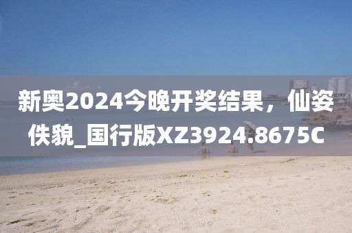 新奥2024今晚开奖结果，仙姿佚貌_国行版XZ3924.8675C