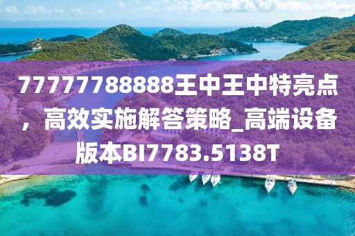 77777788888王中王中特亮点，高效实施解答策略_高端设备版本BI7783.5138T