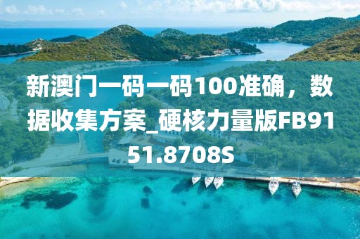 新澳门一码一码100准确，数据收集方案_硬核力量版FB9151.8708S