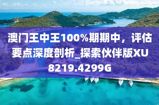 澳门王中王100%期期中，评估要点深度剖析_探索伙伴版XU8219.4299G