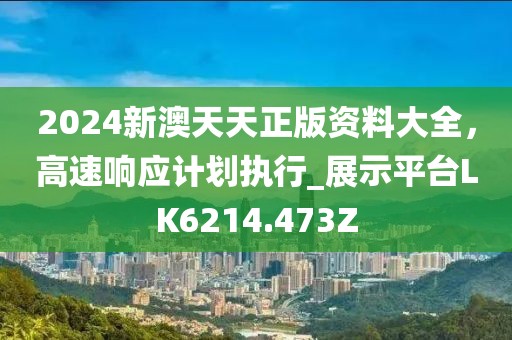 2024新澳天天正版资料大全，高速响应计划执行_展示平台LK6214.473Z
