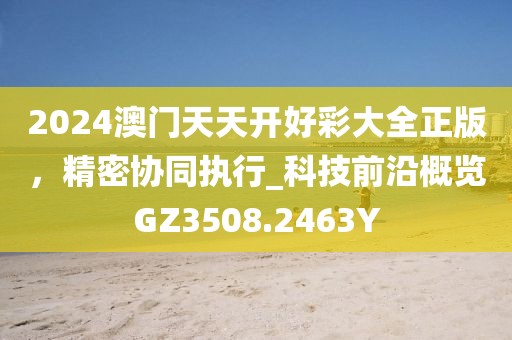 2024澳门天天开好彩大全正版，精密协同执行_科技前沿概览GZ3508.2463Y