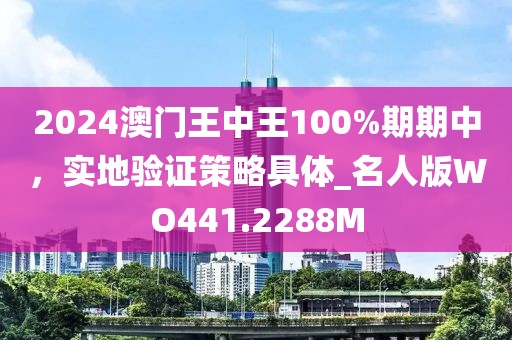 2024澳门王中王100%期期中，实地验证策略具体_名人版WO441.2288M