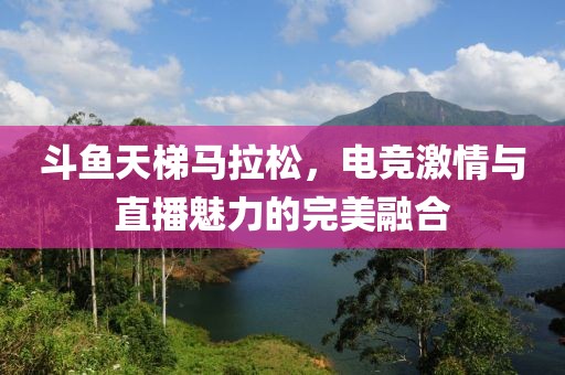 斗鱼天梯马拉松，电竞激情与直播魅力的完美融合