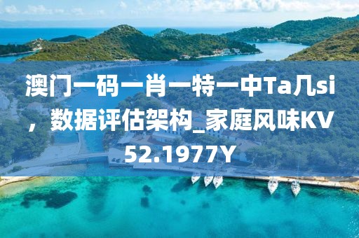 澳门一码一肖一特一中Ta几si，数据评估架构_家庭风味KV52.1977Y
