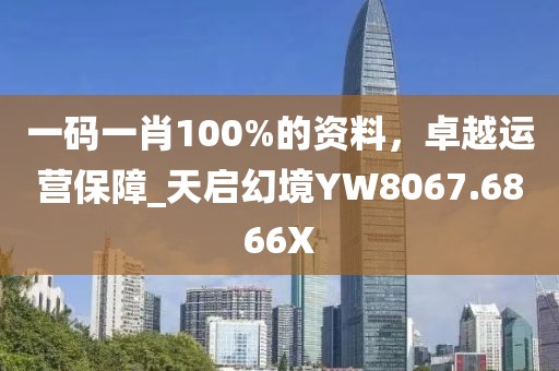 一码一肖100%的资料，卓越运营保障_天启幻境YW8067.6866X