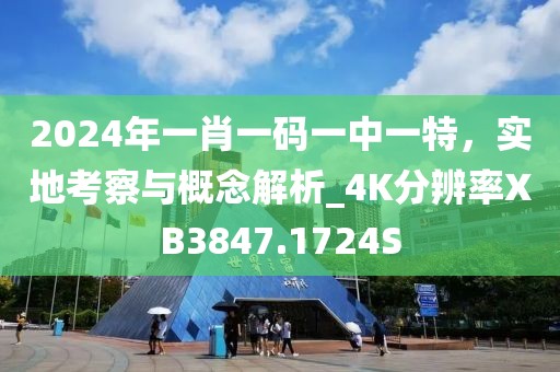 2024年一肖一码一中一特，实地考察与概念解析_4K分辨率XB3847.1724S