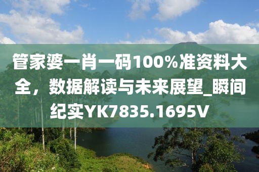 管家婆一肖一码100%准资料大全，数据解读与未来展望_瞬间纪实YK7835.1695V
