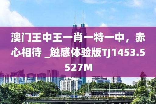 半城伤御伤魂 第63页