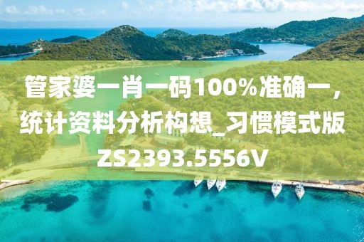 管家婆一肖一码100%准确一，统计资料分析构想_习惯模式版ZS2393.5556V