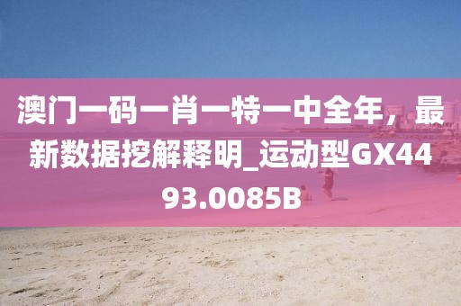 澳门一码一肖一特一中全年，最新数据挖解释明_运动型GX4493.0085B