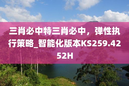 三肖必中特三肖必中，弹性执行策略_智能化版本KS259.4252H